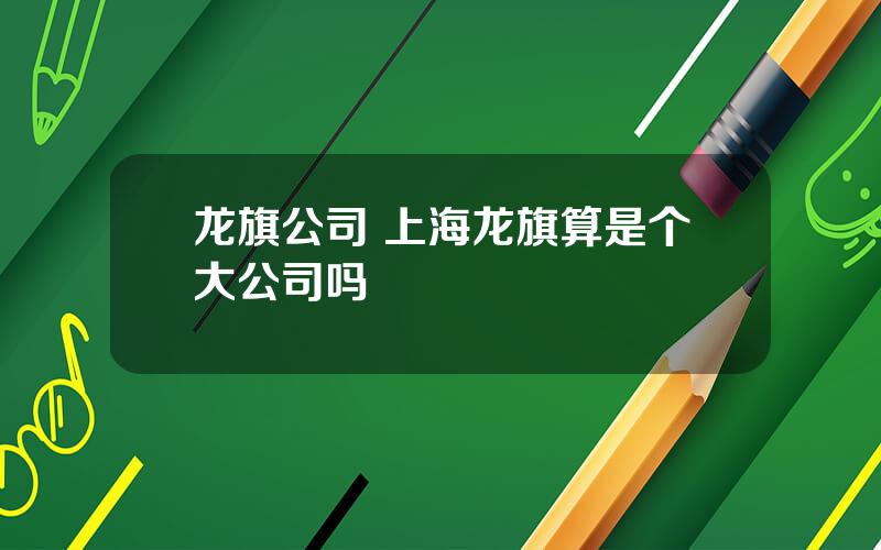 龙旗公司 上海龙旗算是个大公司吗